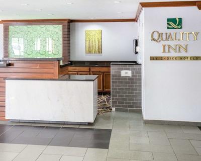 کوالیتی این اسود