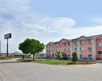 کوالیتی این اسود