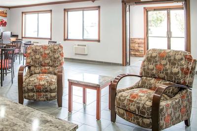 کوالیتی این اسود