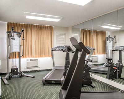 کوالیتی این اسود