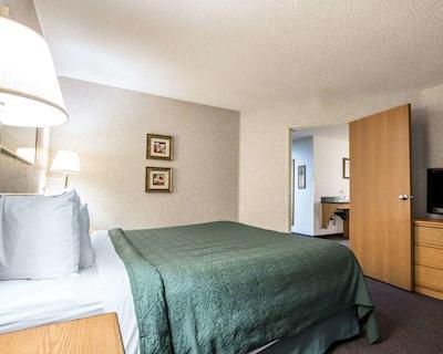 کوالیتی سویتز اُت مسا