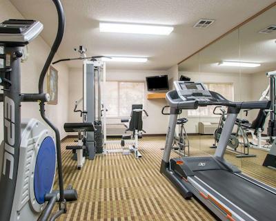 کوالیتی سویتز اُت مسا