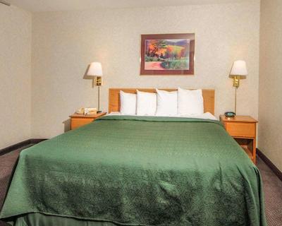 کوالیتی سویتز اُت مسا