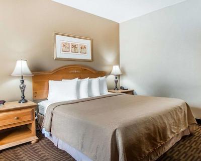 کوالیتی این وز65 اند ا باتلفیلد رد اسپرینگفیلد