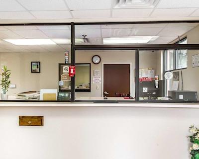 اکنو لج اُپلیکا