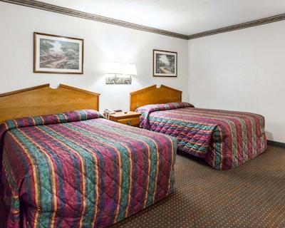 اکنو لج اُپلیکا