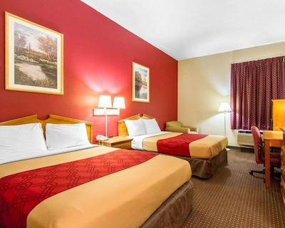 اکنو لج اُپلیکا