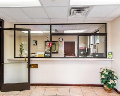 اکنو لج اُپلیکا