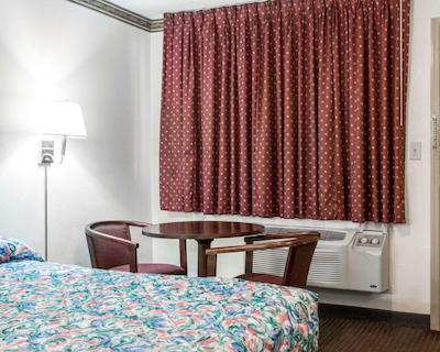 اکنو لج اُپلیکا