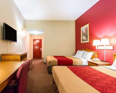 اکنو لج اُپلیکا