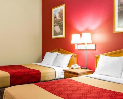 اکنو لج اُپلیکا