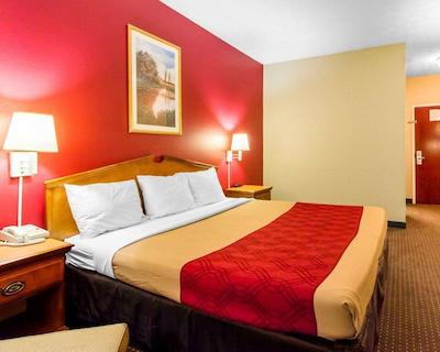 اکنو لج اُپلیکا