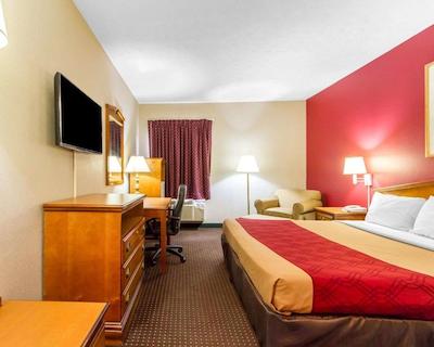 اکنو لج اُپلیکا