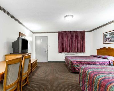 اکنو لج اُپلیکا