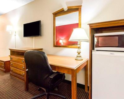 اکنو لج اُپلیکا