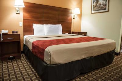 اکنو لج میدتون