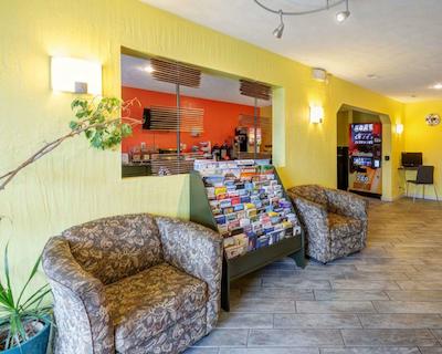 اکنو لج اُلاد-کانساز سیتی