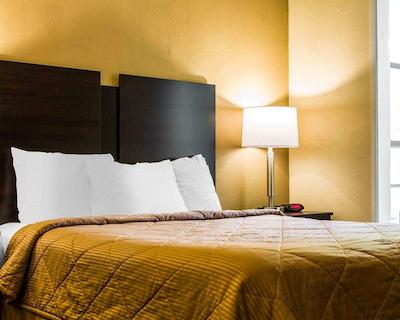 اکنو لج ساکرامنتو