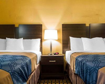 اکنو لج ساکرامنتو