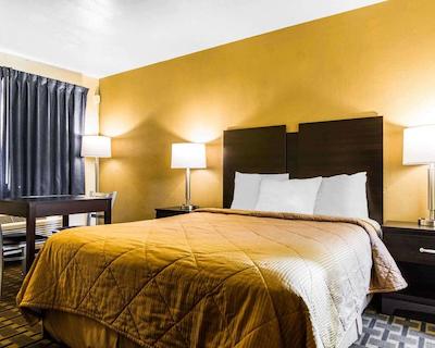 اکنو لج ساکرامنتو