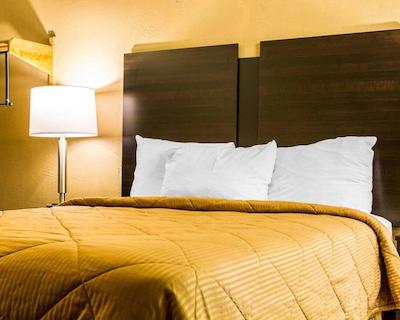 اکنو لج ساکرامنتو