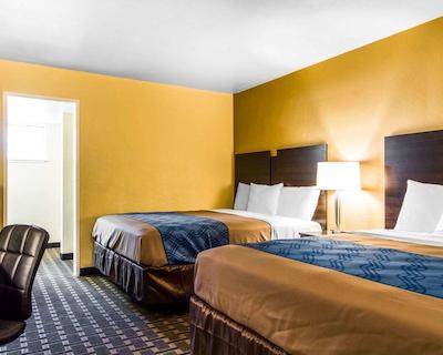 اکنو لج ساکرامنتو