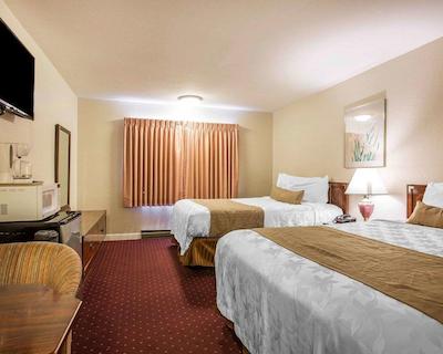 اکنو لج ب بریز