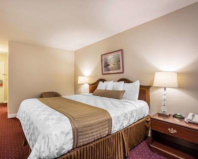 اکنو لج ب بریز