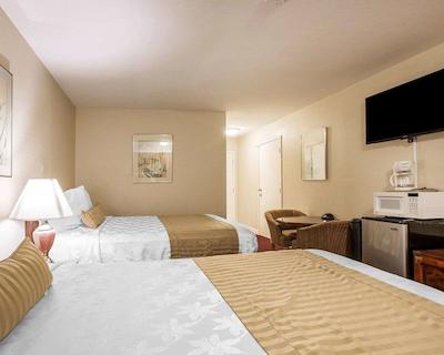 اکنو لج ب بریز