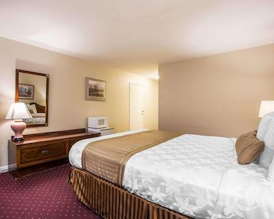 اکنو لج ب بریز