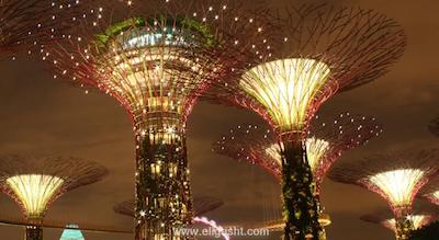 مارینا بی سندز