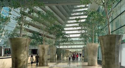 مارینا بی سندز