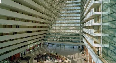 مارینا بی سندز