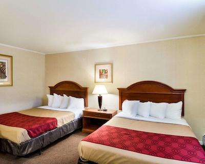 اکنو لج این اند سویتز