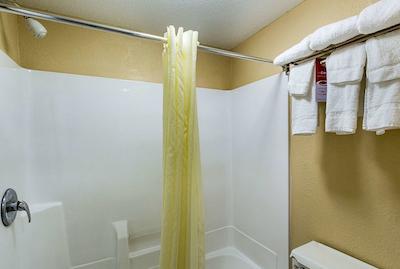 اکنو لج وست دج