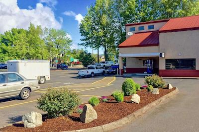 ردو این ویلامت ریور