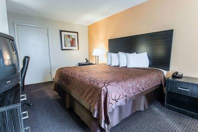 اکنو لج اینترنیشنال دریو اُرلاندو