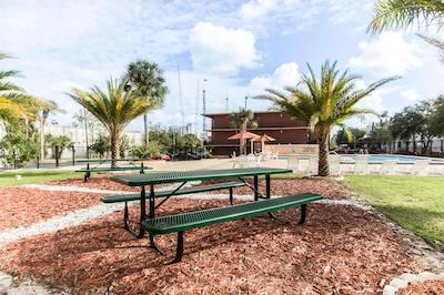 اکنو لج اینترنیشنال دریو اُرلاندو