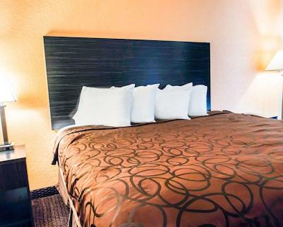 اکنو لج اینترنیشنال دریو اُرلاندو