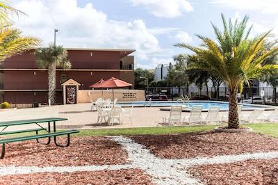 اکنو لج اینترنیشنال دریو اُرلاندو