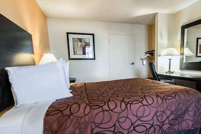 اکنو لج اینترنیشنال دریو اُرلاندو