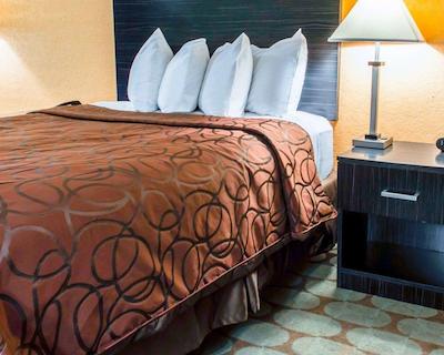 اکنو لج اینترنیشنال دریو اُرلاندو