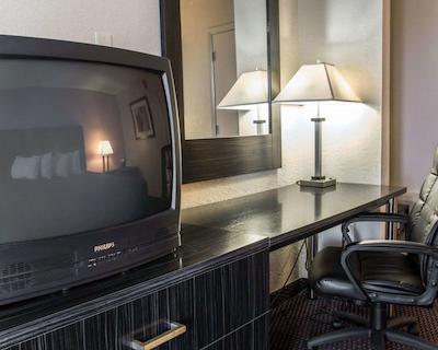 اکنو لج اینترنیشنال دریو اُرلاندو