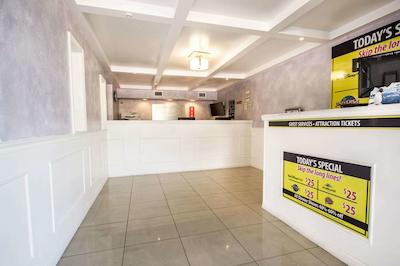 اکنو لج اینترنیشنال دریو اُرلاندو