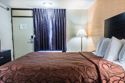 اکنو لج اینترنیشنال دریو اُرلاندو