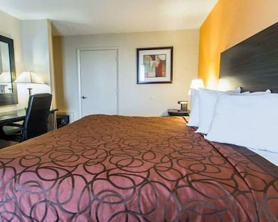 اکنو لج اینترنیشنال دریو اُرلاندو