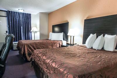 اکنو لج اینترنیشنال دریو اُرلاندو