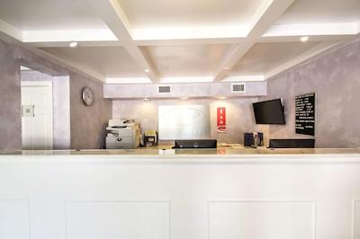 اکنو لج اینترنیشنال دریو اُرلاندو