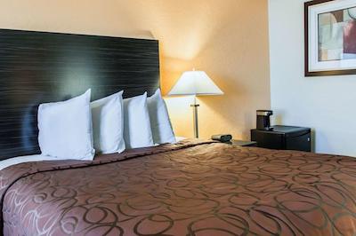 اکنو لج اینترنیشنال دریو اُرلاندو