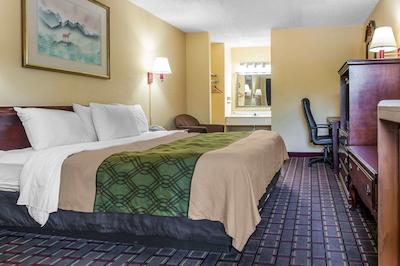 اکنو لج لکسینگتون